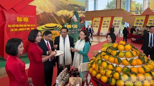 Các đại biểu tham quan gian hàng của nông dân tại Đại hội. (Ảnh: THANH SƠN)