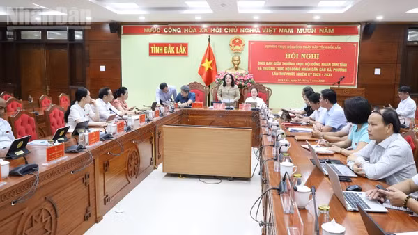 Phó Bí thư Thường trực Tỉnh ủy, Chủ tịch Hội đồng nhân dân tỉnh Đắk Lắk Cao Thị Hòa An phát biểu tại buổi giao ban.