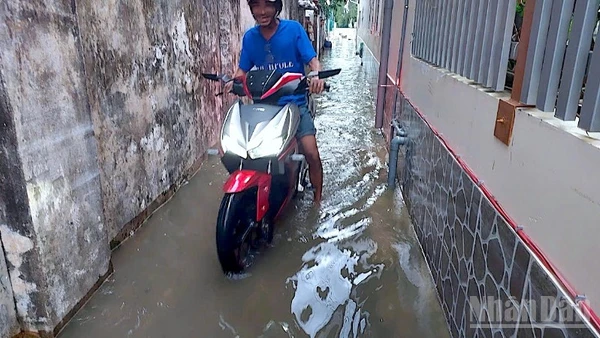 Nước ngập len lỏi vào tận các ngõ hẻm phường Bạc Liêu, tỉnh Cà Mau, gây xáo trộn cuộc sống của người dân.