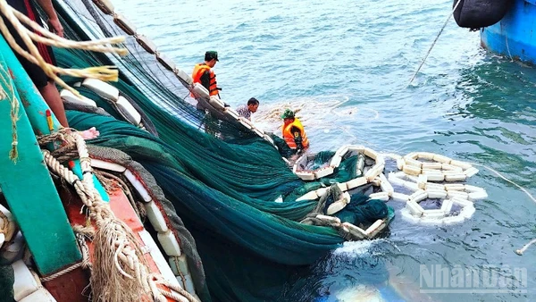 Cán bộ, chiến sĩ Đồn Biên phòng Hòn Chuối hỗ trợ trục vớt lưới đánh cá đưa lên tàu cứu nạn.