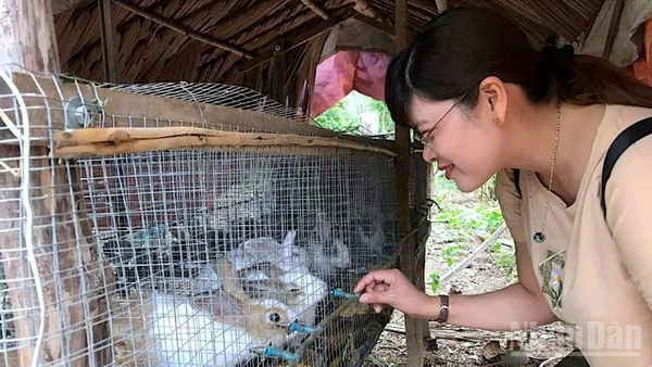 Thay vì cho "con cá", chiến lược mới của Cà Mau là "trao cần câu" để người dân có sinh kế thoát nghèo bền vững.