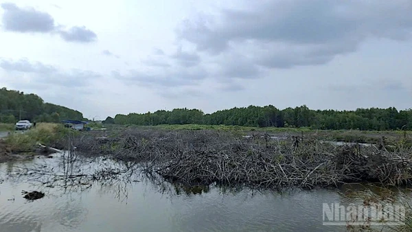 Một đoạn mặt bằng sạch đã được bàn giao phục vụ thi công tuyến cao tốc Cà Mau-Đất Mũi, đoạn qua xã Đất Mũi, tỉnh Cà Mau. 