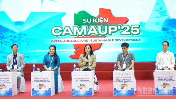 Các chuyên gia đóng góp ý kiến tại Diễn đàn khởi nghiệp ở Cà Mau.