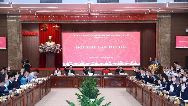 Các đại biểu biểu quyết thông qua chương trình hội nghị.