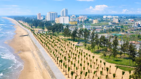 Hàng nghìn cây dừa được trồng dọc tuyến đường dạo bộ ven bãi biển, góp phần tạo cảnh quan xanh mát và chỉnh trang diện mạo đô thị biển.