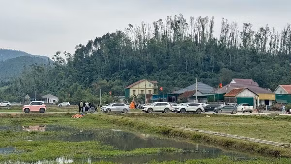 Hàng chục ô-tô từ khắp nơi đổ về khu vực đấu giá đất Rú Cụp-Nam Lĩnh xã Đại Huệ, tỉnh Nghệ An.
