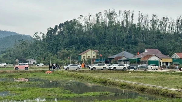 Hàng chục ô-tô từ khắp nơi đổ về khu vực đấu giá đất Rú Cụp-Nam Lĩnh xã Đại Huệ, tỉnh Nghệ An.