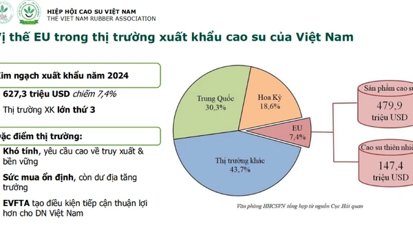Vị thế EU trong thị trường xuất khẩu cao su Việt Nam.