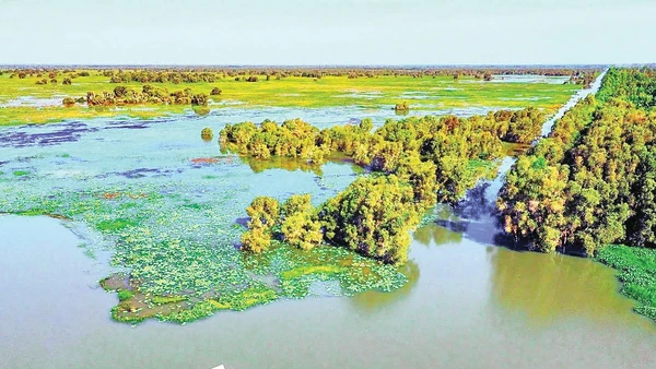 Một góc Vườn quốc gia Tràm Chim. Ảnh: THÀNH HƯNG