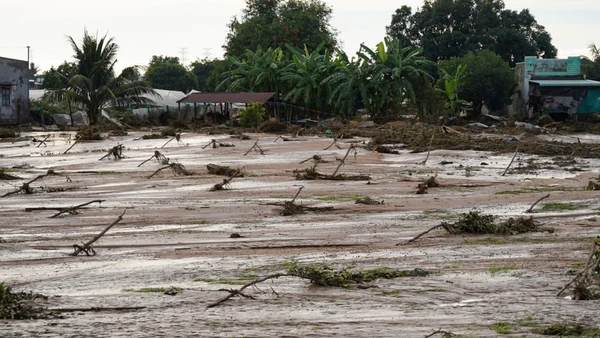Vườn cây của người dân hư hỏng, không có dấu hiệu sự sống sau khi nước lũ, bùn đất tràn qua.