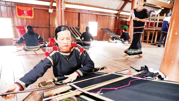 Phụ nữ Tây Nguyên không chỉ giữ vai trò trong gia đình mà đang trở thành lực lượng kinh tế quan trọng. Ảnh: Khiếu Minh