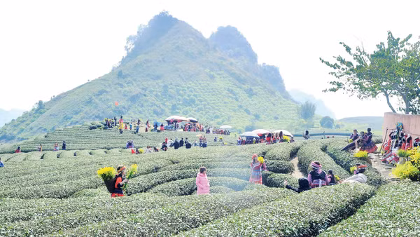 Bản làng giờ không chỉ an toàn hơn trước thiên tai, mà còn trở thành điểm đến sinh thái hấp dẫn. Ảnh: Nam Nguyễn