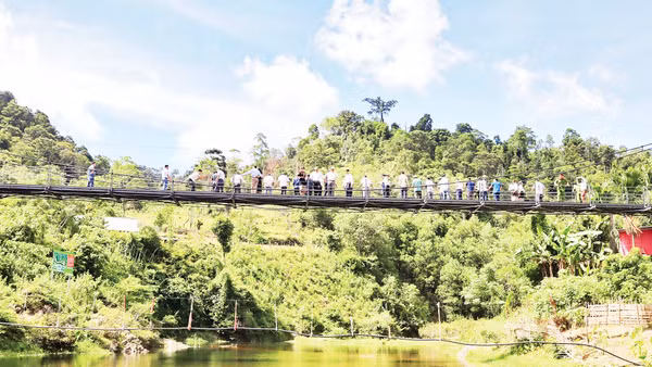 Nhiều đoàn khách đến tham quan, chiêm ngưỡng cá mát được bảo vệ trên suối Nặm Cướm. Ảnh: Bé Vinh