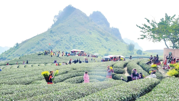 Bản làng giờ không chỉ an toàn hơn trước thiên tai, mà còn trở thành điểm đến sinh thái hấp dẫn. Ảnh: Nam Nguyễn