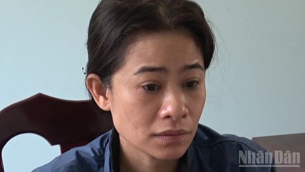 Đối tượng Nguyễn Thị Phương Thảo là kẻ cầm đầu trong vụ án.