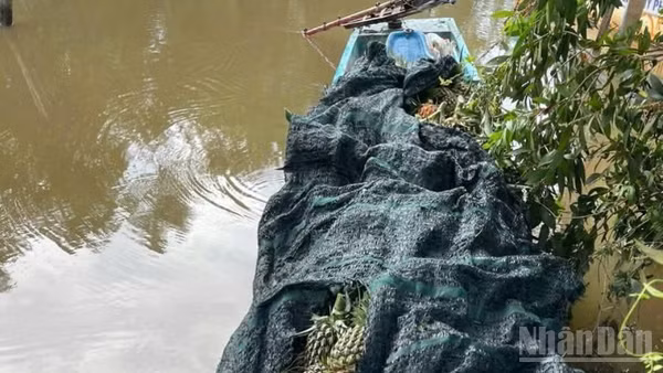 Tang vật tạm giữ của các đối tượng. (Ảnh: Công an cung cấp)