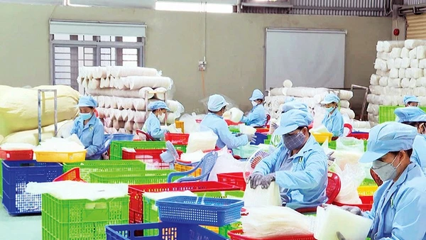 Các cơ sở sản xuất bánh tráng ở Tây Ninh hối hả sản xuất để cung ứng thị trường Tết.