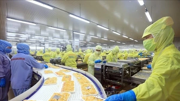 Các doanh nghiệp xuất khẩu tôm Việt Nam tập trung vào sản xuất chế biến chất lượng cao cung cấp cho thị trường Mỹ - thị trường xuất khẩu lớn nhất của Việt Nam. (Ảnh TTXVN)