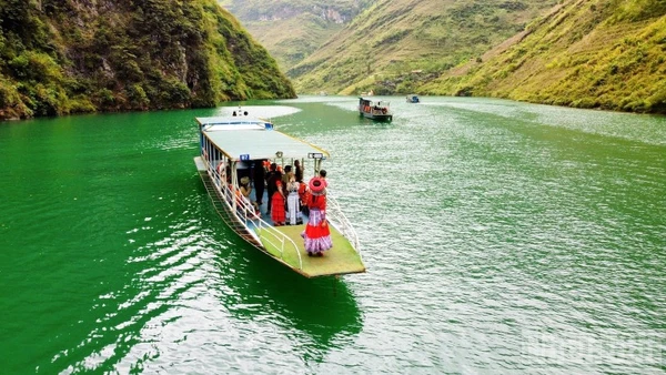 "Check-in" trên dòng Nho Quế biếc xanh.