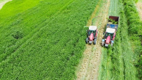 Trang trại Vinamilk Green Farm. (Ảnh: VI NAM)