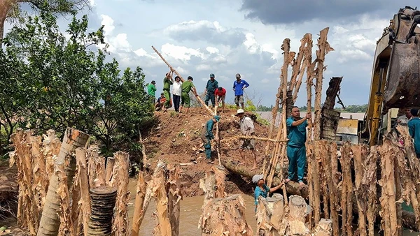 Xã Quới Thiện huy động phương tiện, lực lượng tại chỗ gia cố đoạn đê bao bị vỡ tại cồn Thanh Long.