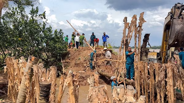Xã Quới Thiện huy động phương tiện, lực lượng tại chỗ gia cố đoạn đê bao bị vỡ tại cồn Thanh Long.