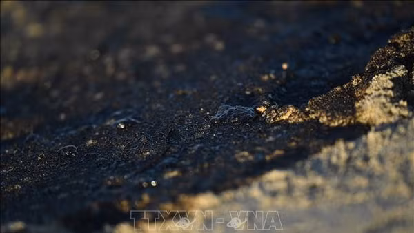 Mexico loại bỏ số dầu thô còn sót lại sau vụ tràn dầu ở Vịnh Mexico