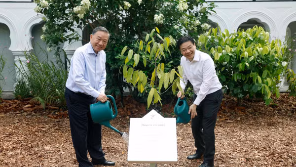 Tổng Bí thư, Chủ tịch nước Tô Lâm và Thủ tướng Singapore Lawrence Wong trồng cây lưu niệm. (Ảnh: TTXVN)