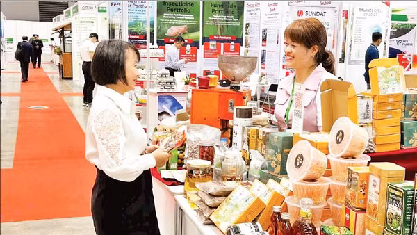 Người tiêu dùng lựa chọn sản phẩm nông sản chế biến sâu tại Hội chợ Xúc tiến thương mại tỉnh Lâm Đồng.