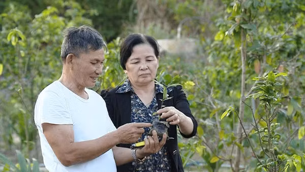Nhiều người cao tuổi sống vui, sống khỏe, tham gia lao động, sản xuất, cống hiến cho gia đình, xã hội.