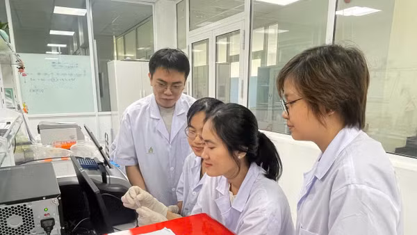 Nhóm nghiên cứu thực hiện nghiên cứu các hợp chất sau chiết xuất của cây nghệ trắng. (Ảnh: TRUNG HIẾU)