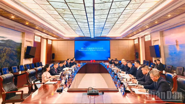 Hội nghị hợp tác Hải quan Việt Nam-Trung Quốc về chống buôn lậu lần thứ 18 (tháng 7/2026 tại Trung Quốc).