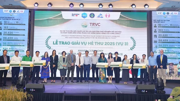 Nhà tài trợ trao thưởng cho doanh nghiệp, nông dân trồng lúa chất lượng cao.