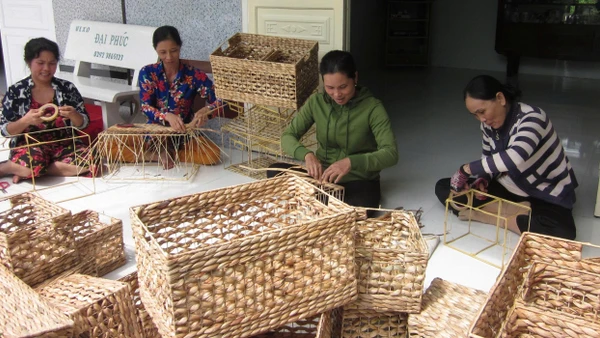 Nghề đan giỏ lục bình giúp nhiều phụ nữ ở Cần Thơ tăng thu nhập, ổn định cuộc sống.