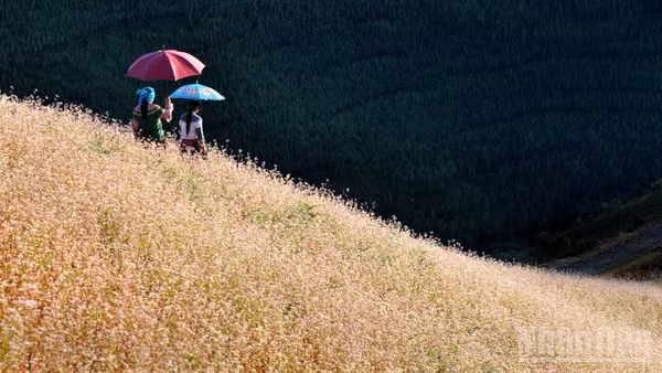 Du lịch Việt Nam tăng trưởng ấn tượng trong quý I/2026. 