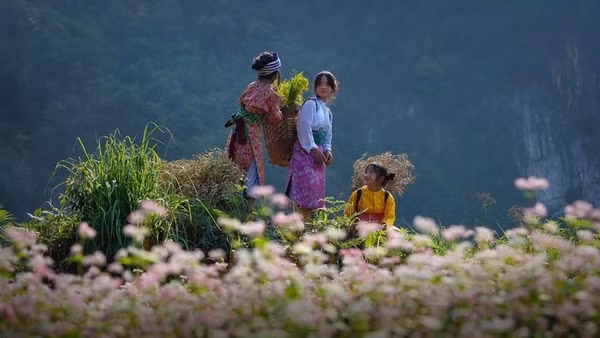 Ngày Văn hóa các dân tộc Việt Nam (19/4) năm 2026 sẽ diễn ra từ ngày 17 đến 19/4 tại Làng Văn hóa-Du lịch các dân tộc Việt Nam (xã Đoài Phương, thành phố Hà Nội).