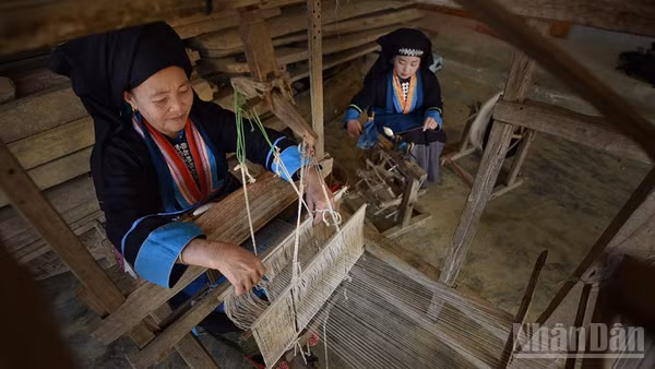 Số hóa sẽ góp phần đưa di sản đến gần hơn cộng đồng. 