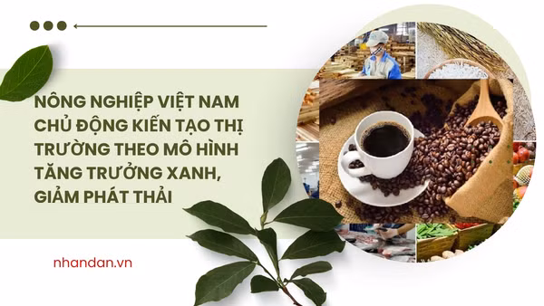 Nông nghiệp Việt Nam hướng tới xanh, số và bền vững. (Ảnh: HNV)