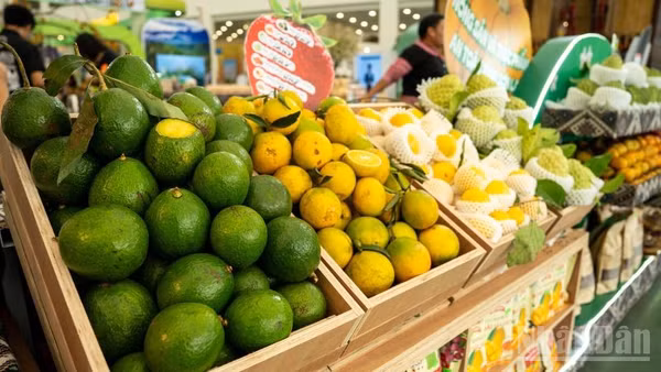 Nhu cầu tiêu dùng trong nước tăng là một trong các động lực quan trọng thúc đẩy tăng trưởng ngành thương mại, dịch vụ. (Ảnh: HNV)