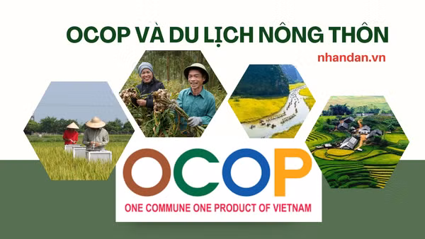 Bối cảnh mới đòi hỏi các sản phẩm OCOP và du lịch nông nghiệp, nông thôn phải chuyển đổi tư duy và phương pháp tiếp cận mới. (Ảnh: HNV)