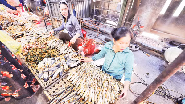 Cá trích vừa đánh bắt được người làng biển xứ Nghệ chế biến ngay tại nơi bán. Ảnh: Trọng Chính