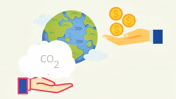 Việt Nam và nhiều nước trên thế giới đã và đang triển khai đồng loạt các chính sách thúc đẩy phát triển xanh (Nguồn hình ảnh: Netzero.vn) 