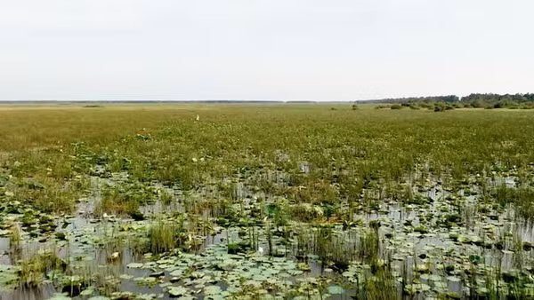 Một góc Vườn quốc gia Tràm Chim.
