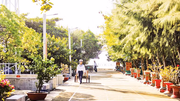 Cây xanh trên đảo Sinh Tồn. 