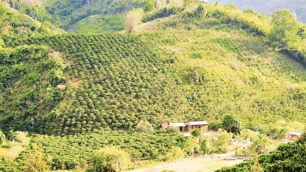 Tiểu khu 176, Đạ M’Pô ngày càng đổi thay. Ảnh: Hương Ly