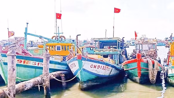Đội tàu cá đánh bắt hải sản vùng ven biển thành phố Cần Thơ.