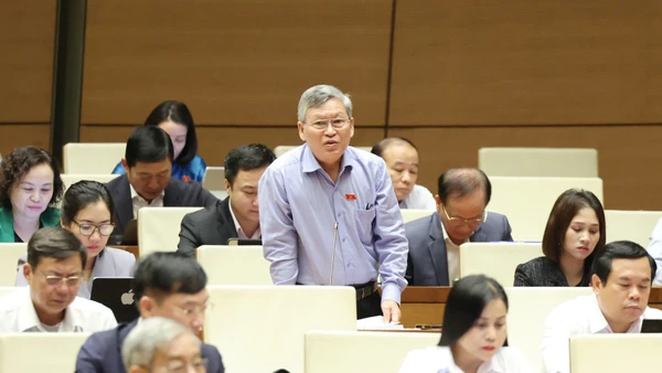 Đại biểu Quốc hội kiến nghị hỗ trợ tài chính cho phụ nữ sinh đủ 2 con ở tất cả các độ tuổi