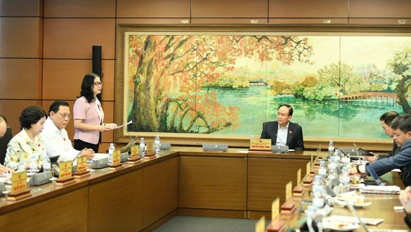 Cần phân định rõ ranh giới pháp lý giữa dự trữ quốc gia và dự trữ chiến lược