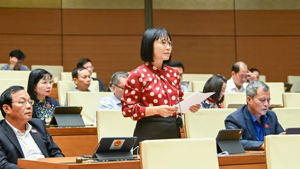 Cần một chương trình truyền thông quốc gia về hiểu đúng và hành động vì thị trường carbon