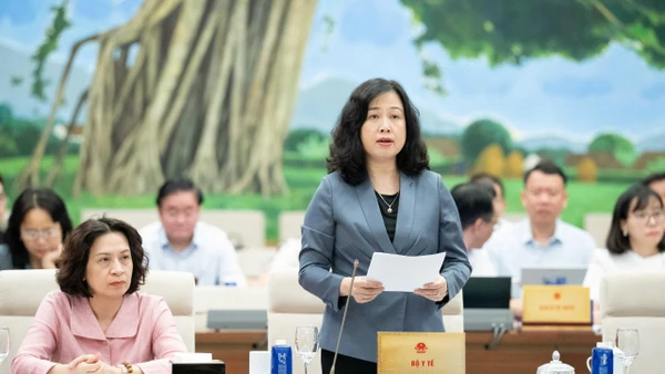 Cần chính sách dài hạn, căn cơ để duy trì mức sinh thay thế